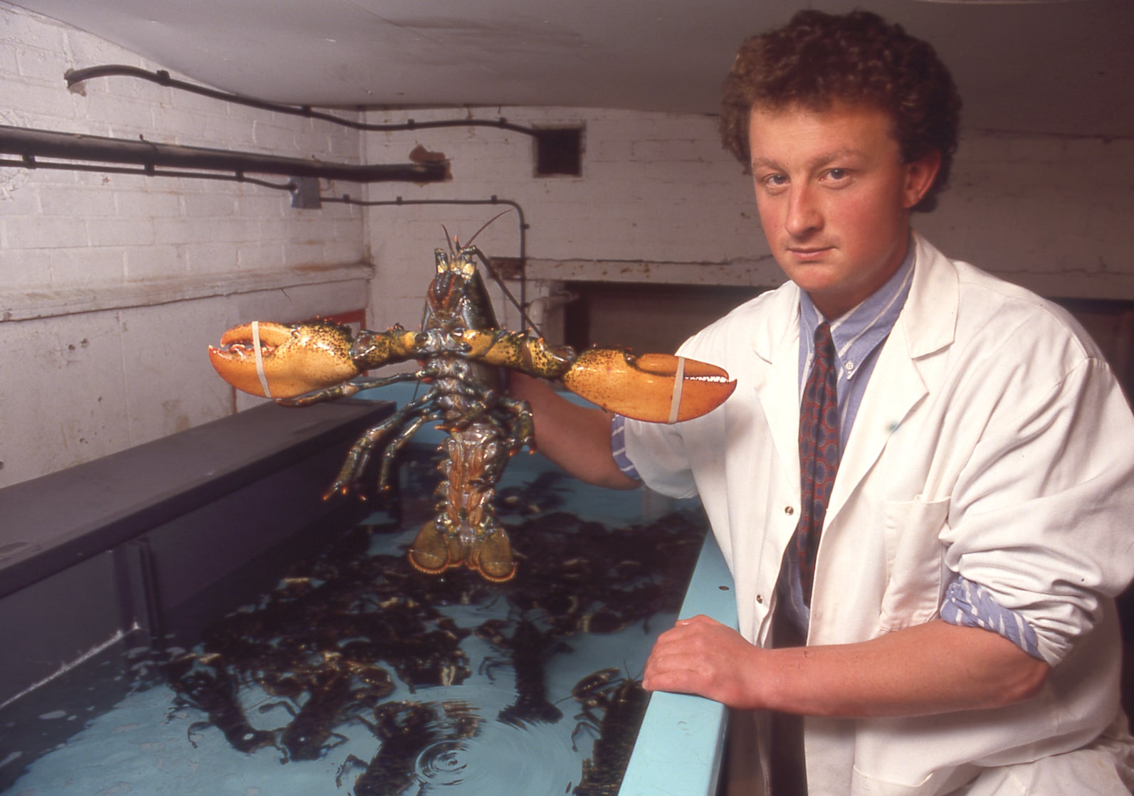 A man holding up a massive lobster 