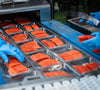 Salmon being processed