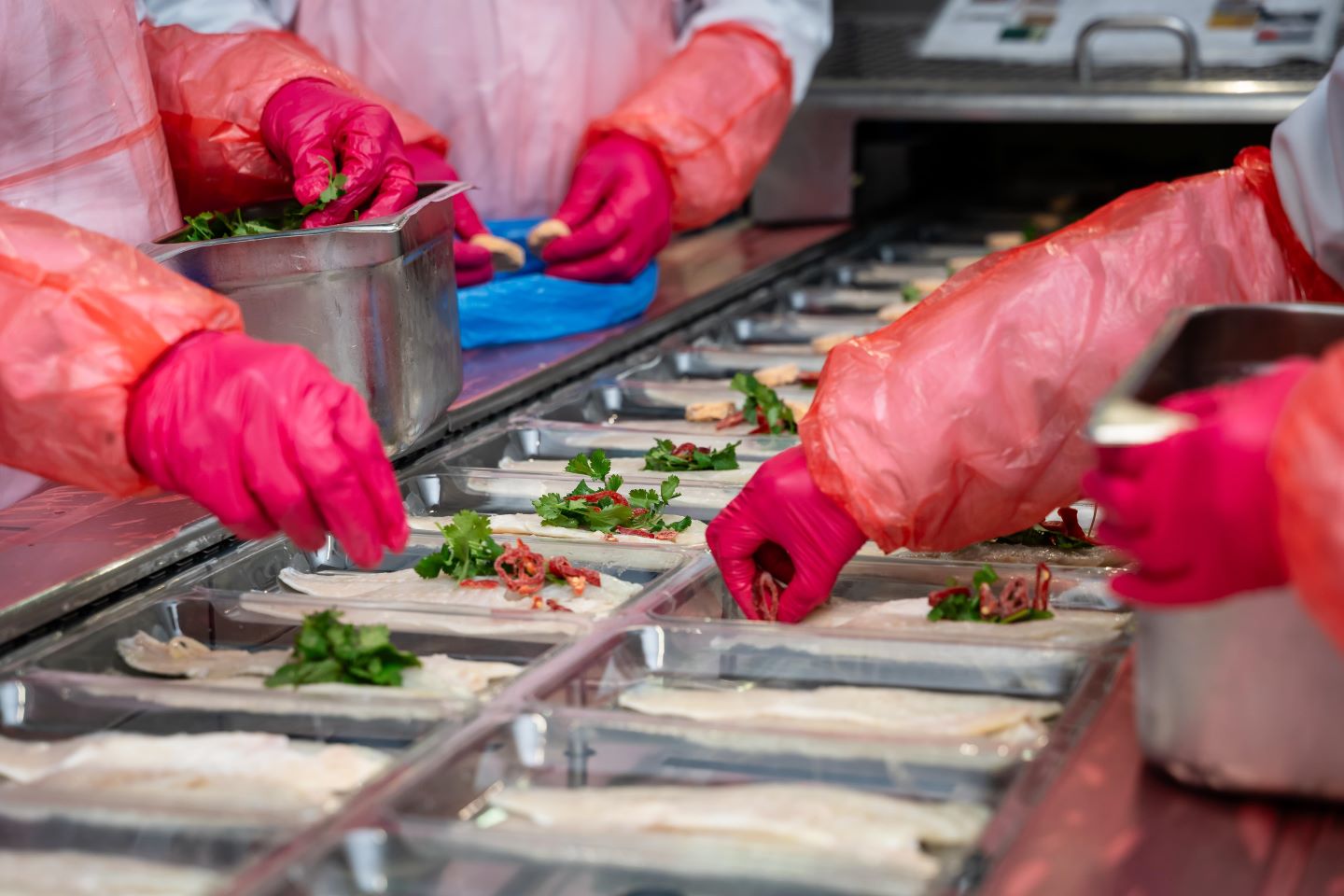 People placing garish onto of a fish filet 